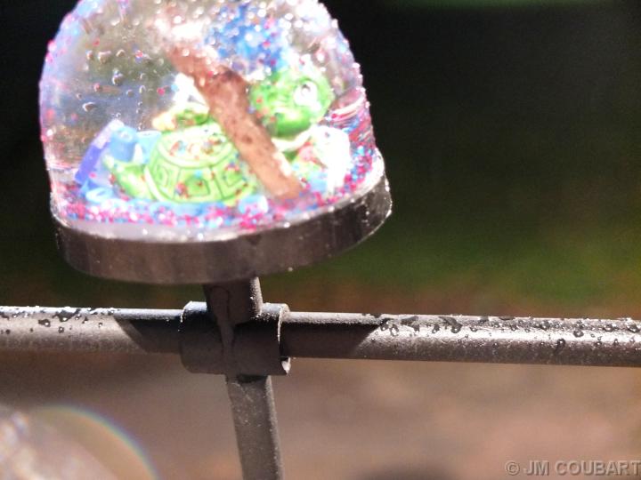 Diapositive suivante